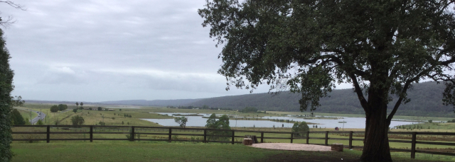view-castlereagh-2017.jpg
